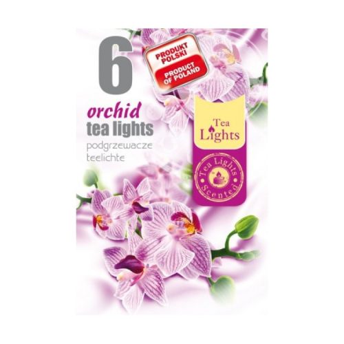Illatos teamécses 6db orchidea