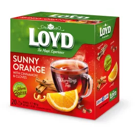 Loyd piramis HOT tea narancs-fahéj 40g