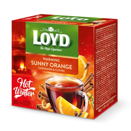 Loyd piramis HOT tea narancs-fahéj 40g